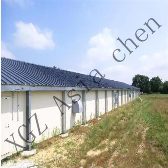 Steel Structure Shed with Automatic Equipment From Qingdao Xin Guang Zheng