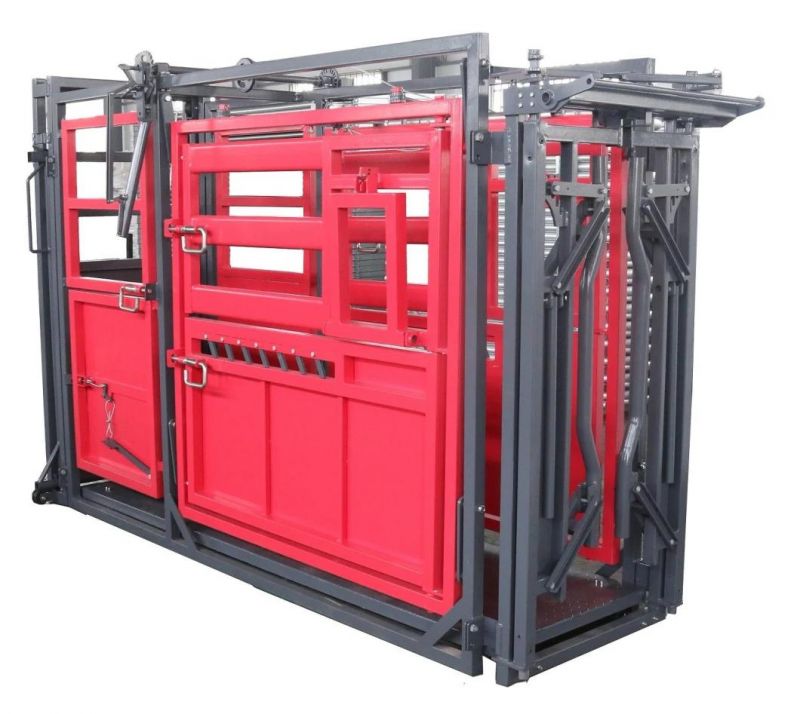 Livestock Equipment Cattle Squeeze Chute with Weighing Scale