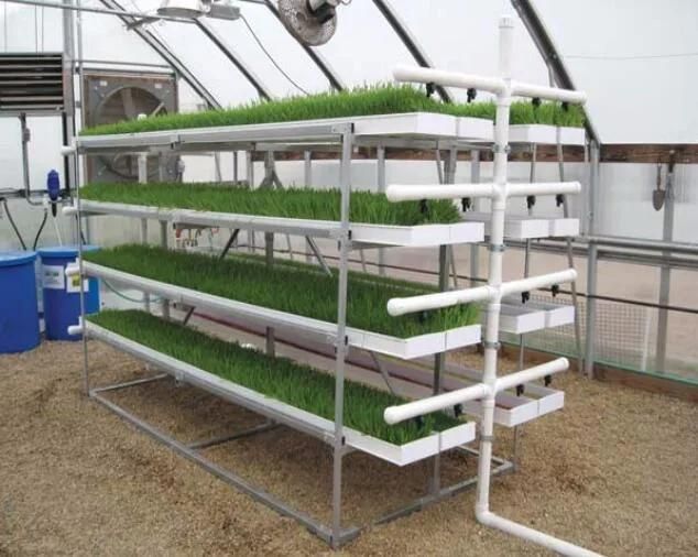 Multi Layers PVC Fodder Tray Hydroponics Growing System for Barley/Wheat