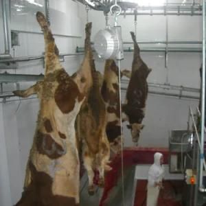 Muslim Beef Slaughter Line with Cow Butcher Abattoir Machinery