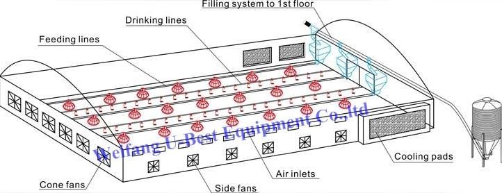 Broiler Chicken Feeding System / Poultry Feed Line System /Poultry Farm Equipment