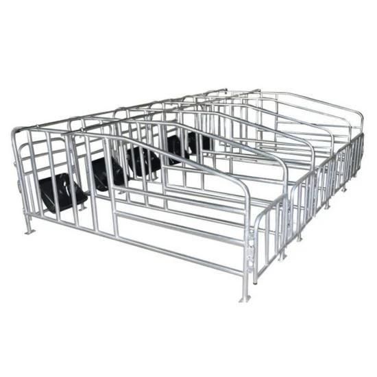 Pig Farm Equipment Galvanized Steel Pipe Piggery Cages