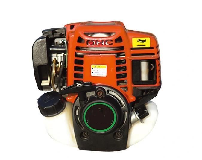 Best Quality of 4-Stroke 31cc Gasoline Engine Power Knapsack Sprayer, Disinfection Sprayer