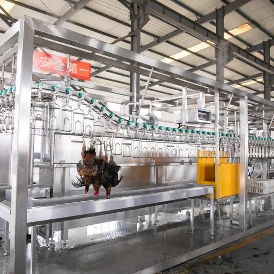 Compact Poultry Chicken Abattoir Slaughtering Line Machine