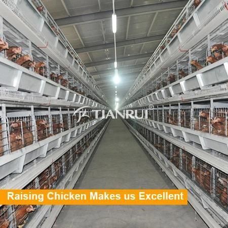 Automatic poultry layer battery cages