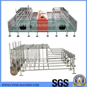 Galvanized 3.8 Meters Sow/Pig Gestation Crates for Sale with Best Price