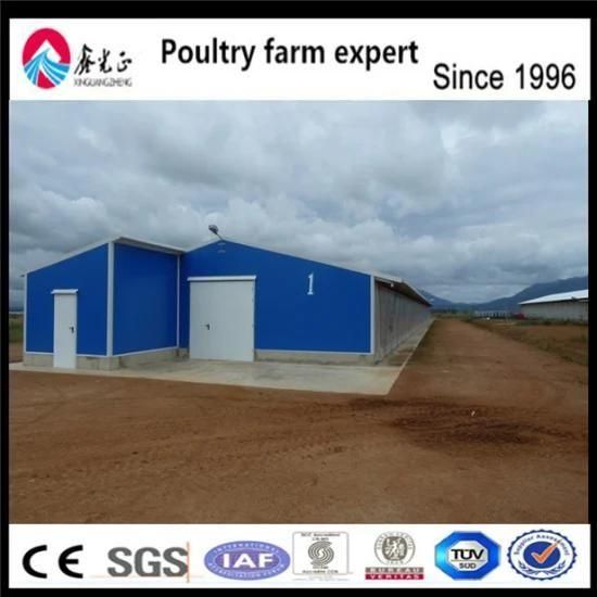 Broiler Poultry Farm Equipment in Prefab Poultry House