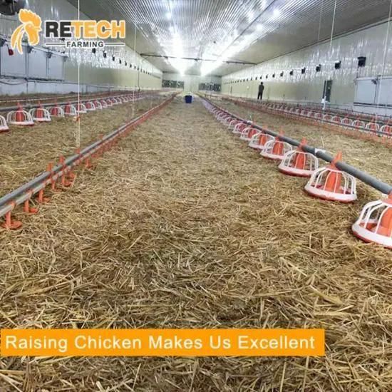 New design automatic broiler chicken raising cage layer feeding equipment