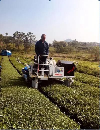 1800mm Extra Long Cutting Tea Picking Range Self-Propelled Tea Picking Machine Kj4n From Japan Kawasaki