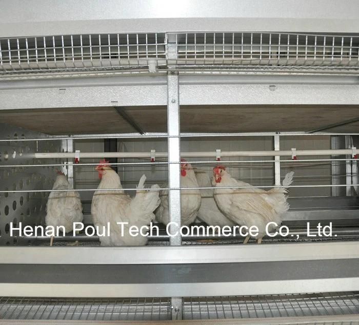 H Type Best Price High Quality Poultry Layer Chicken Cages