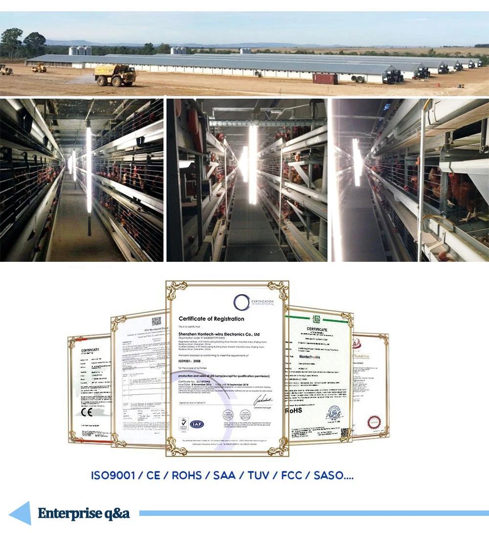 Poultry Farm Layer Cages System