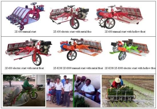 6 Rows Rice Walking Transplanter with Ce Certificate