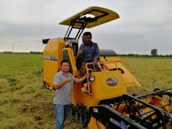 High Ground Clearance Rice Combine Harvester in Iran