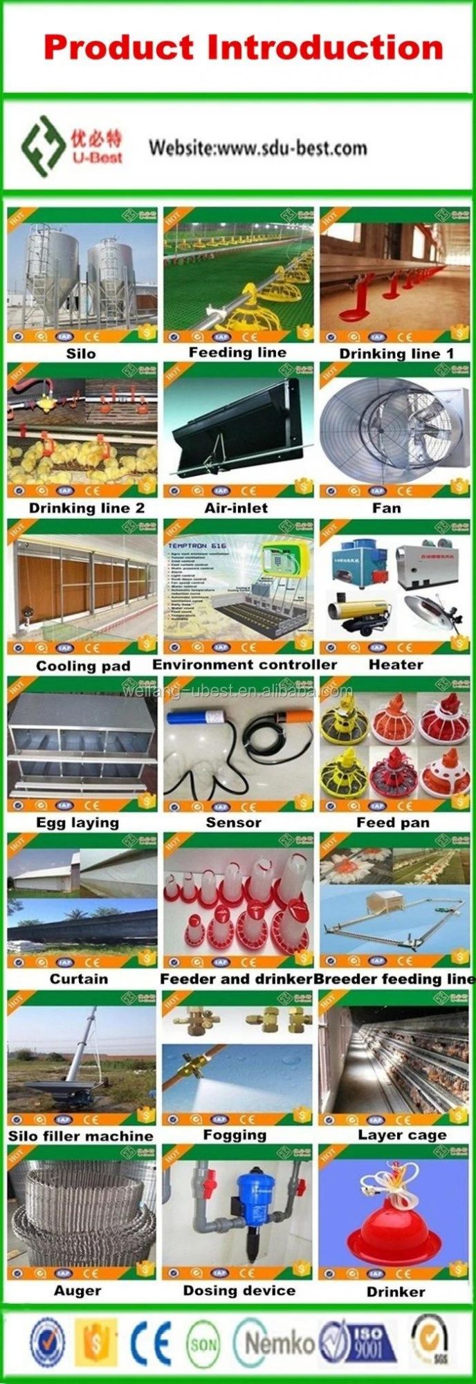 U-Best Chicken Feeding System Poultry Equipment