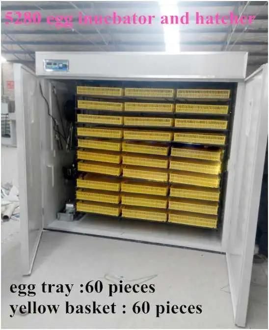 Chicken Egg Incubator with Hatching