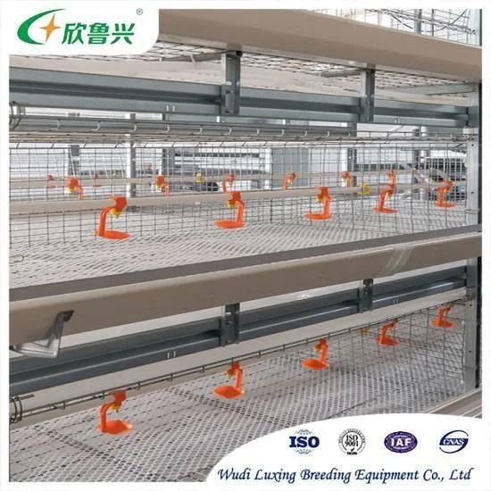 Automatic H Frame Cage Saytem Chicken Raising Equipment for Poultry Farm Battery Farming