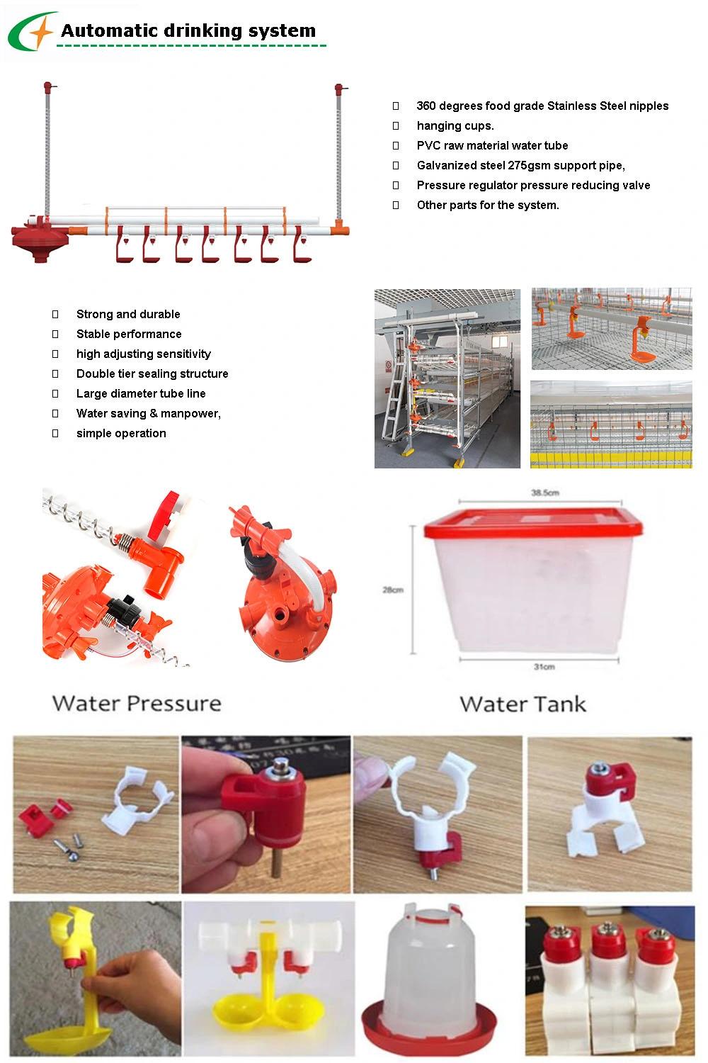 Automatic Broiler Feeding System H Type Battery Broiler Chicken Cage for Sale