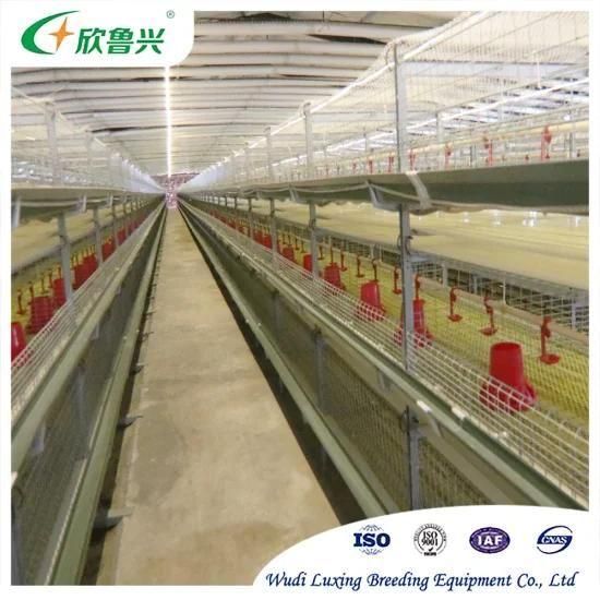 Poultry Farm House Equipment H Type 3 Tiers 4 Tiers Chicken Broiler Breeding Rearing Cages