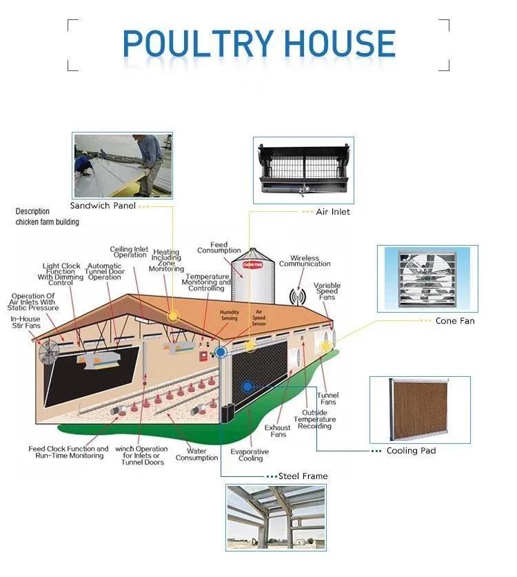 Livestock Chicken Floor Raising Poultry Farm Equipment with Pan Feeding System