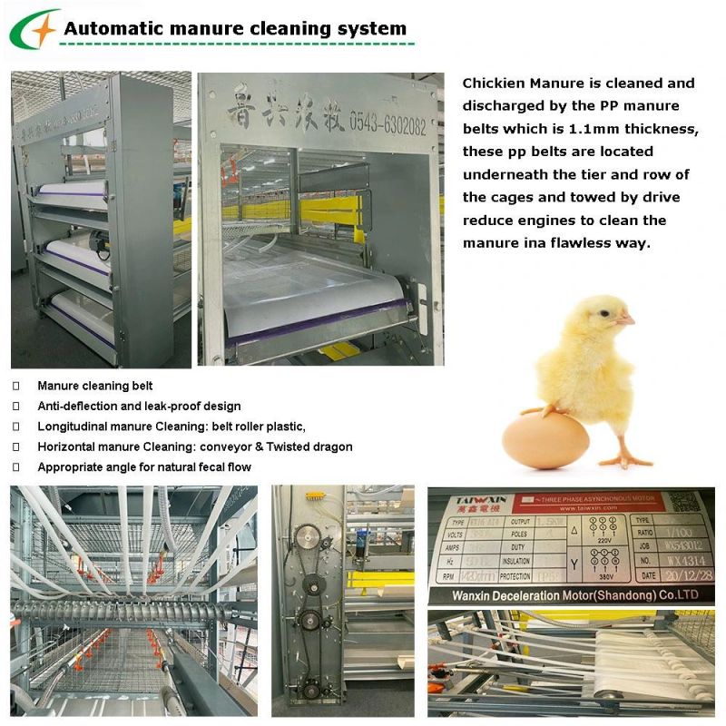 Automatic Broiler Chicken Farm Equipment Broiler Chicken Animal Poultry Cage