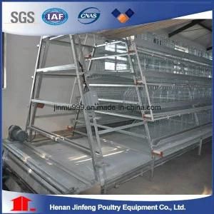 Jaulas Aves / Gallinas Battery Hen Cages (BDT025-JF-25)