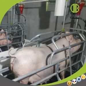 Hot DIP Galvanized Pig Farm Equipment for Sow Farrowing Crate
