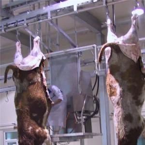 Complete Slaughterhouse Equipment for Sheep Slaughter Line Goat Butcher Machine for Halal