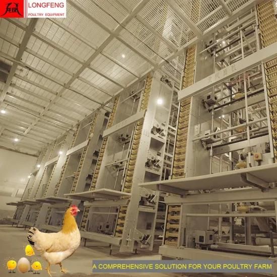 Fans and Cooling Pad Large Scale Poultry Farming with 1 Year Warranty