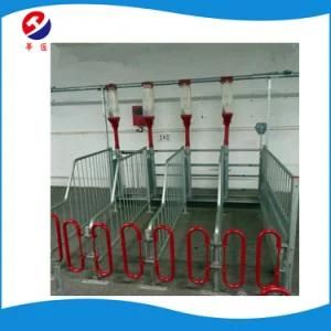 Wholesale Galvanized Pipe Sow Cages Stall Pig Gestation Crates New Design
