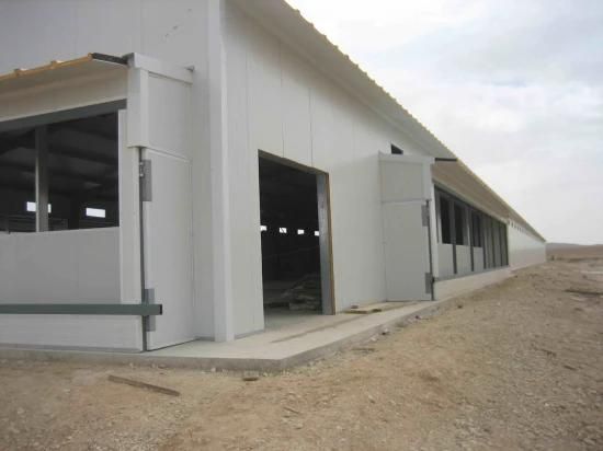 Steel Structure Chicken Poultry House