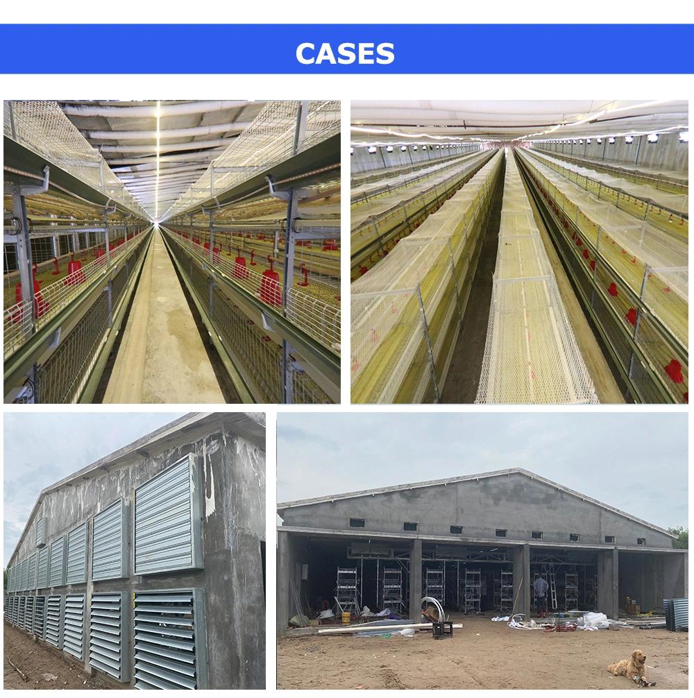 Broilers Rearing Slat Floor Structure Broiler Battery Q235 Steel Poultry Farm Equipment Cage System