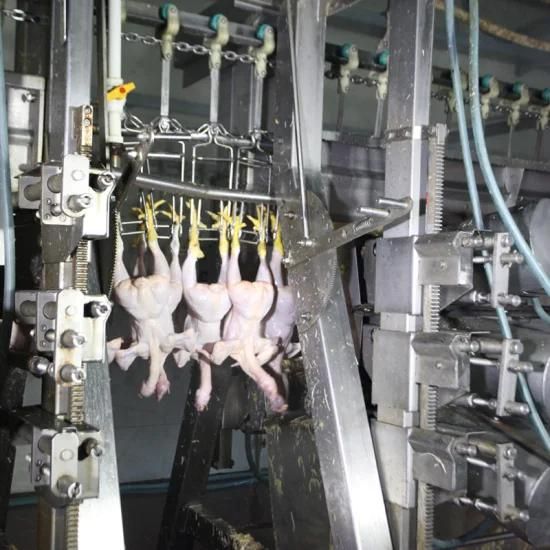 Chicken Plucking Machine Poultry Slaughter Line
