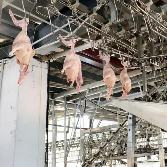 Muslim Chicken Slaughterhouse Production Slaughtering Line