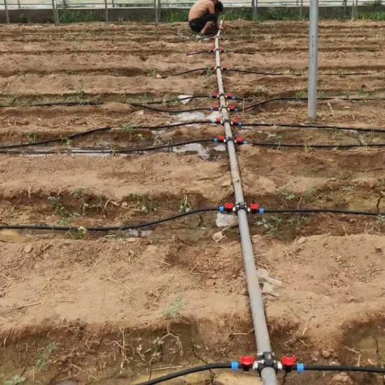Hydroponic System Sales Agricultural Intelligent Irrigation Fertilizer Machine