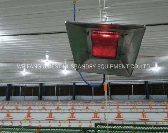 Wholesale Modern Design Automatic Controlled Poultry Farm in Philippines for Broiler ...