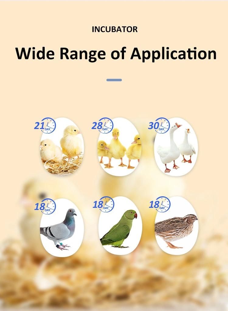 Hhd New Automatic Digital Large Size Chicken/Duck/Turkey Egg Incubator