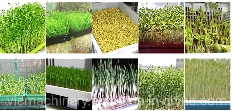 Multi-function Home Grow System Hydroponic For Planting Fodder Garlic Microgreen