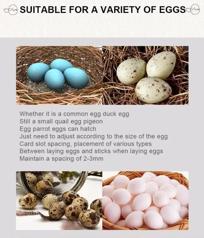Poultry Chicken Egg Hatcher Multi-Purpose Chic Incubator
