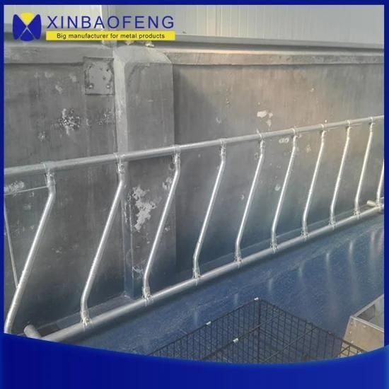 Hot-DIP Galvanized Safe Cattle/Cattle Free Breeding Stall Agricultural Machinery