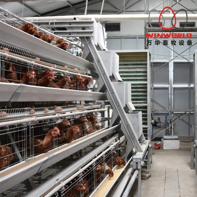 4 Tiers Full Automatic Chicken Cage System