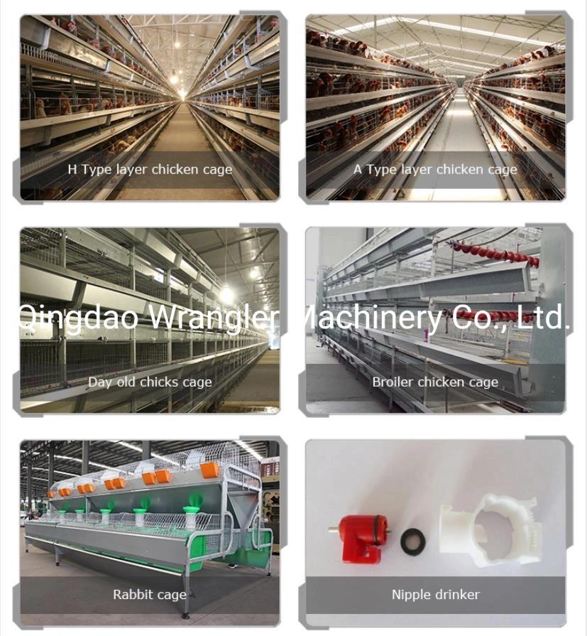 Poultry Farm Equipment Automatic Chicken Ground Breeding