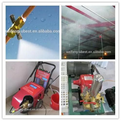 Good Quality Automatic Poultry Chicken Farming Equipment for Chicken Farm