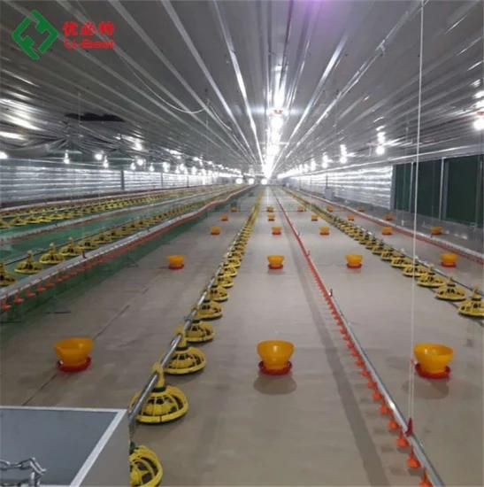 Environmental Controller and New Condition Chicken Broiler House Poultry Farm Equipment