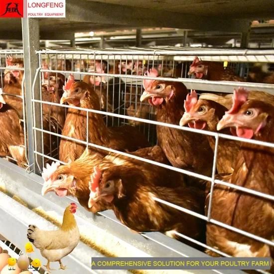 Hot Sale Low Egg Broken Rate Hot Galvanized Poultry Farm Chicken Cage