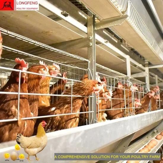 Longfeng Poultry Equipment Layer/Egg Chicken Cage H Type Highly Automatic System