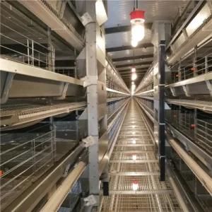 Jinfeng Farm Solution H Frame Layer Cages Automatic Poultry Equipment