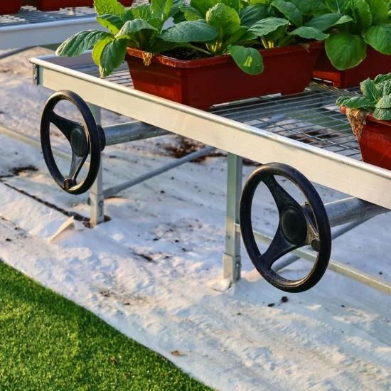 Agricultural Greenhouse Equipment Mobile Seedbed Mobile Rolling Bench for Agriculture