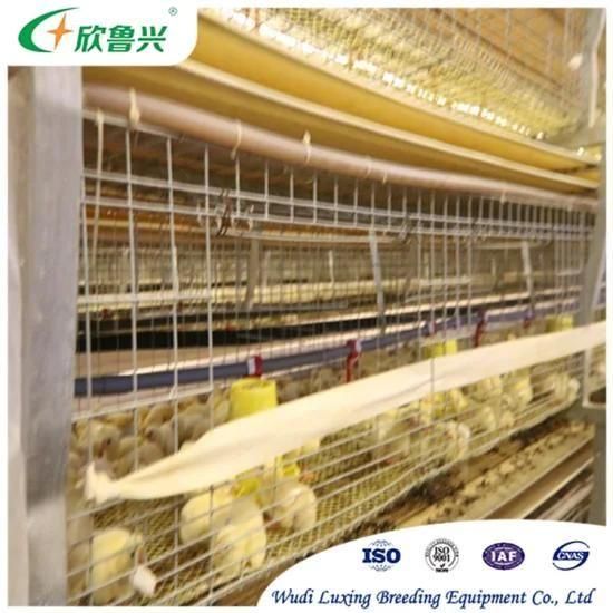 Galvanized Material Battery Type Chicken Breeding Equipment Baby Chick Cage