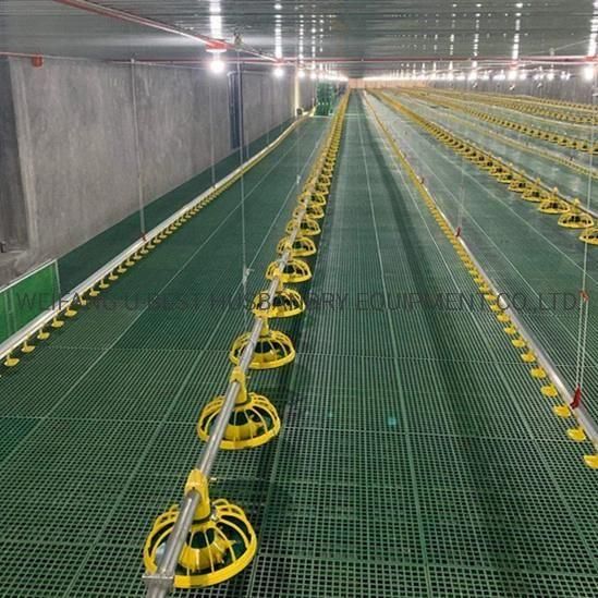 China Factory Supply 52FT X 450FT Automatic Poultry Equipment Farming Chicken for Prefab ...