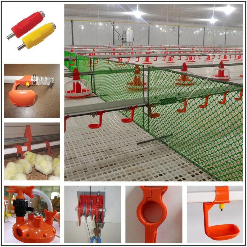 Modern and Advanced Automatic Poultry Equipment for Broiler Chickens